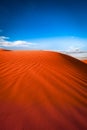 Animal tracks in red sand dune Royalty Free Stock Photo