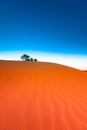Red sand dune with ripple and blue sky Royalty Free Stock Photo