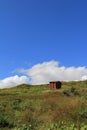 Red outhouse in a field of grass Royalty Free Stock Photo