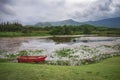 Red paddle boat floating on lotus swamp in rainforest Royalty Free Stock Photo