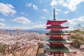 Red pagoda in cherry blossom sakura in spring season with Mt F Royalty Free Stock Photo