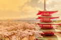 Red Pagoda and cherry blossom sakura in spring season with Mt F Royalty Free Stock Photo