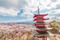 Red Pagoda and cherry blossom sakura in spring season with Mt F Royalty Free Stock Photo