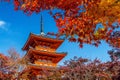 Red pagoda and maple tree in autumn, Kyoto in Japan Royalty Free Stock Photo