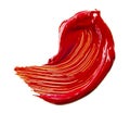 Red paint tray Royalty Free Stock Photo