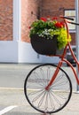 Beautiful red painted bicycle front wheel with a bucket of colorful flowers on the street of the city Royalty Free Stock Photo