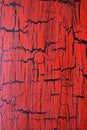 Red painted cracked wooden art background Royalty Free Stock Photo