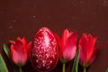 Red Painted Easter Egg, And Tulips
