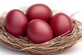 Red painted Easter eggs in straw nest Royalty Free Stock Photo
