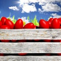 Red painted Easter eggs in wooden container Royalty Free Stock Photo