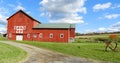 Red barn sits in FingerLakes fall countryside in NYS