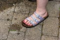 Red painted toe nails on a foot in a purple sandal Royalty Free Stock Photo