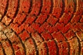 Red painted truck tire grunge texture background