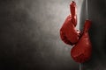 Red pair boxing gloves hanging Royalty Free Stock Photo