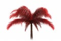 Red Palm tree isolated on white background Generative AI. Royalty Free Stock Photo