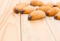 Red palm weevil on the wooden floor background Rhynchophorus ferrugineus Larvae of insects Selective focus with shallow depth of