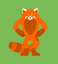 Red panda angry. Wild animal evil emotions. Beast aggressive. Vector illustration
