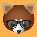 Red panda avatar wearing glasses