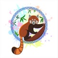 Red panda on the background of colored spots