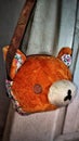 Red panda bear head kiddy hand bag Royalty Free Stock Photo