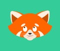 Red panda confused emoji face avatar. Wild animal is perplexed emotions. Beast surprise. Vector illustration Royalty Free Stock Photo