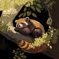 Red panda lying on a tree branch