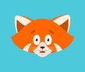 Red panda scared OMG avatar emotion. Wild animal Oh my God emoji. Frightened beast. Vector illustration