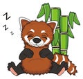 Red panda sleep