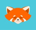 Red panda sleeping. Wild animal asleep emotions. Beast. Vector illustration