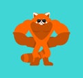Red panda Strong Cool serious. beast strict. Vector illustration