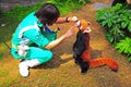 red panda and trainer