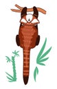 Red panda vector illustration.