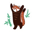 Red panda vector illustration. Royalty Free Stock Photo