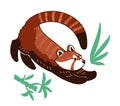 Red panda vector illustration. Royalty Free Stock Photo