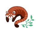 Red panda vector illustration. Royalty Free Stock Photo