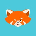 Red panda winks emoji avatar. Face Wild animal happy emotion. Vector illustration