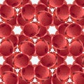 Red panoramic botanical background.Abstract pattern in the form of circles on a white background, a swirl of botanical peel. Photo Royalty Free Stock Photo