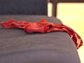 Red panties on the couch. Royalty Free Stock Photo