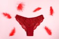 Red panty with lace and feathers on pink background with copy space Royalty Free Stock Photo