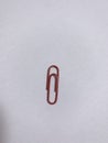 Red paper clips. Royalty Free Stock Photo
