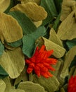 Red paper flower among green leaves, origami Royalty Free Stock Photo