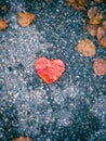 Red paper heart on the ground with fallen leaves Royalty Free Stock Photo