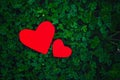 Red paper hearts in green clover