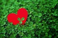 Red paper hearts in green clover