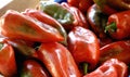 red pappers Royalty Free Stock Photo