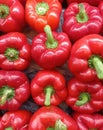 Red Papricas very Fresh in Shopping Mall Royalty Free Stock Photo