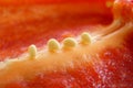 Red paprika seeds Royalty Free Stock Photo
