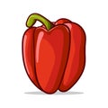 Red paprika. sweet peppers white background. Isolated Vector illustration. Royalty Free Stock Photo