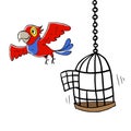 Red parrot getting free flying away from his cage