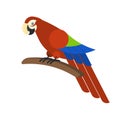 Red parrot. Tropical bird macaw. Exotic wild